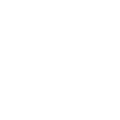 Twitch twitch-logo-white